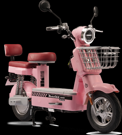 E-BIKE / GO 55 DUBAİ